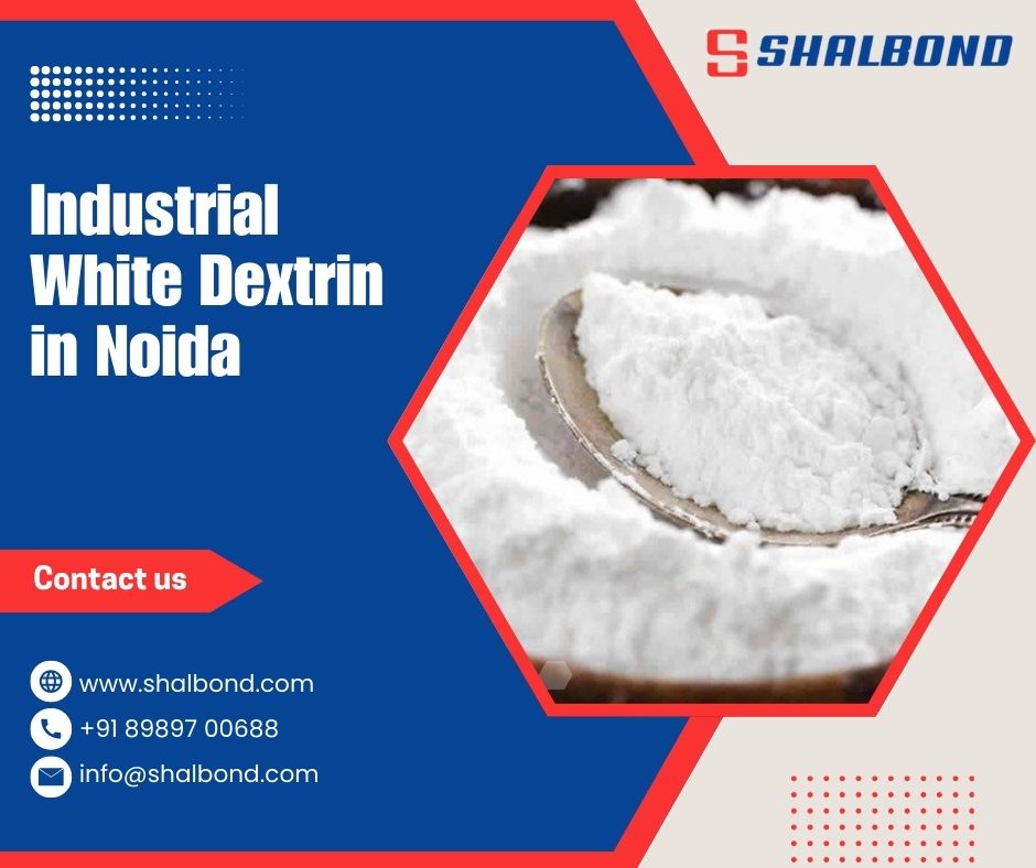 Industrial White Dextrin in Noida